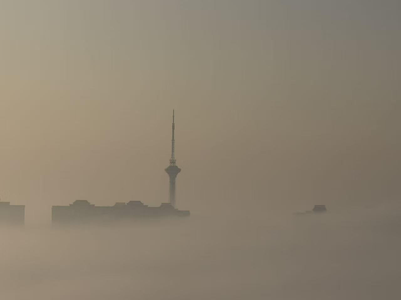 这应该就是传说中的“草船借箭”吧！