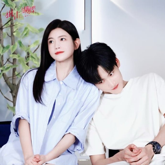 陈妍希周柯宇新剧开播预告陈妍希周柯宇狙击蝴蝶开播预告 陈妍希周柯宇狙击蝴蝶开播预