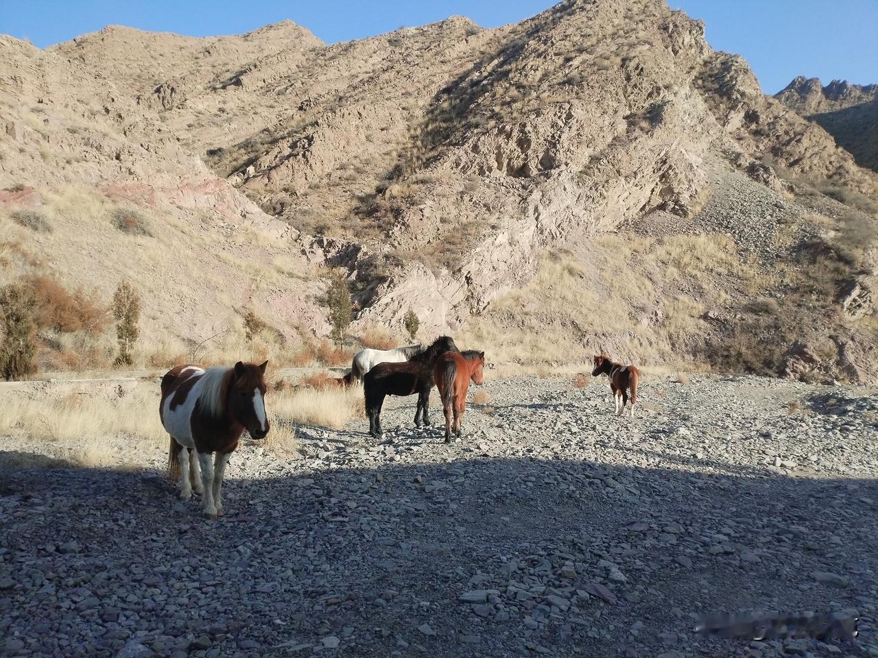 假如有一片雪花，像天使，
落在我贫瘠的手掌中，我相信一定会有一句诺言
被它的回声