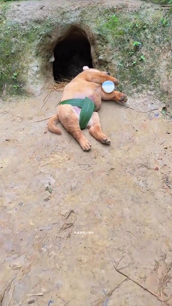 嗯。
