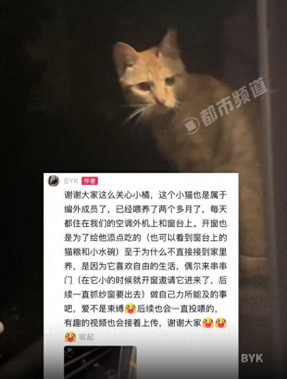 “太有灵性了！”浙江杭州，男子连续两个月都会投喂小区里的流浪橘猫，这只橘猫为了感