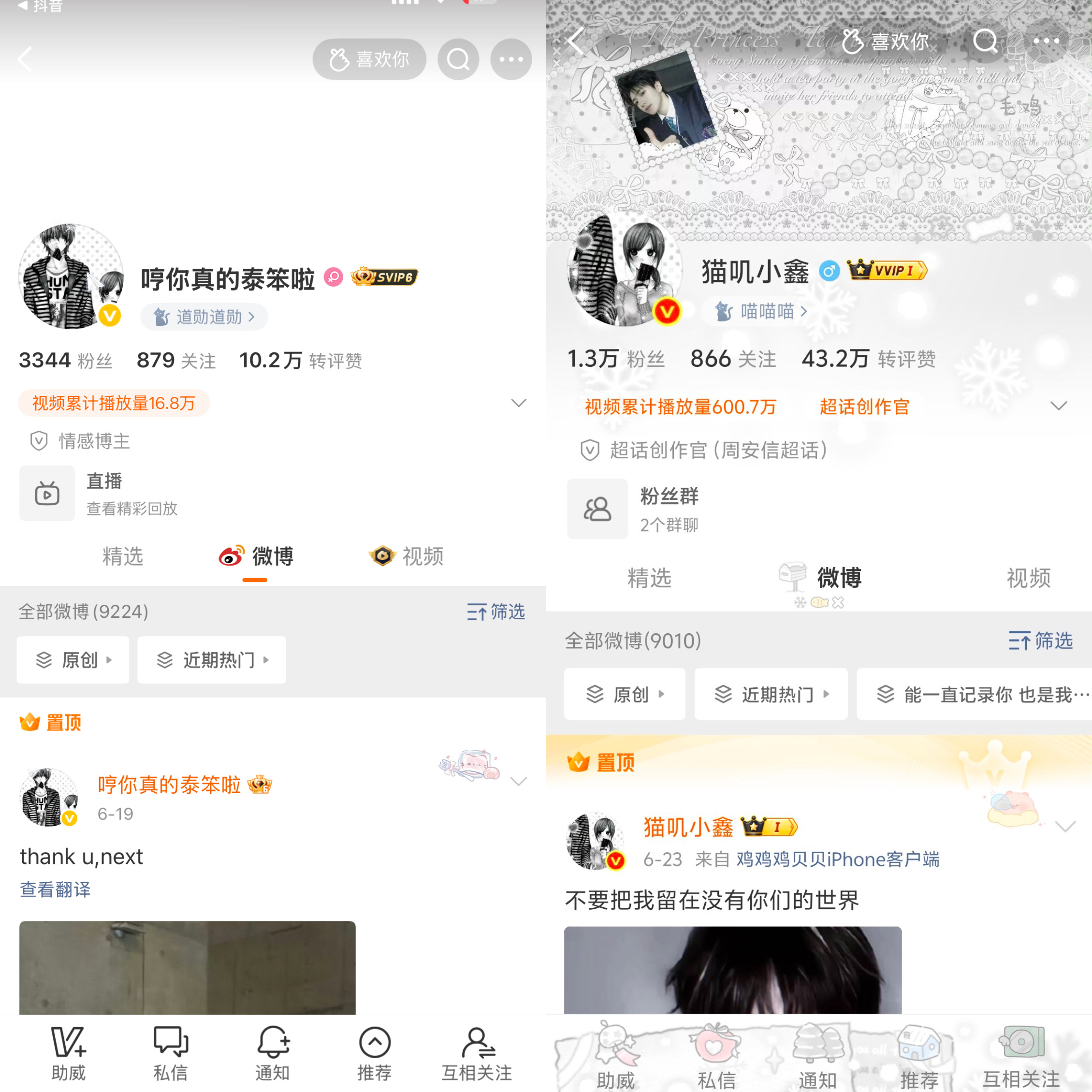 我挑衅世界你可以保护我吗