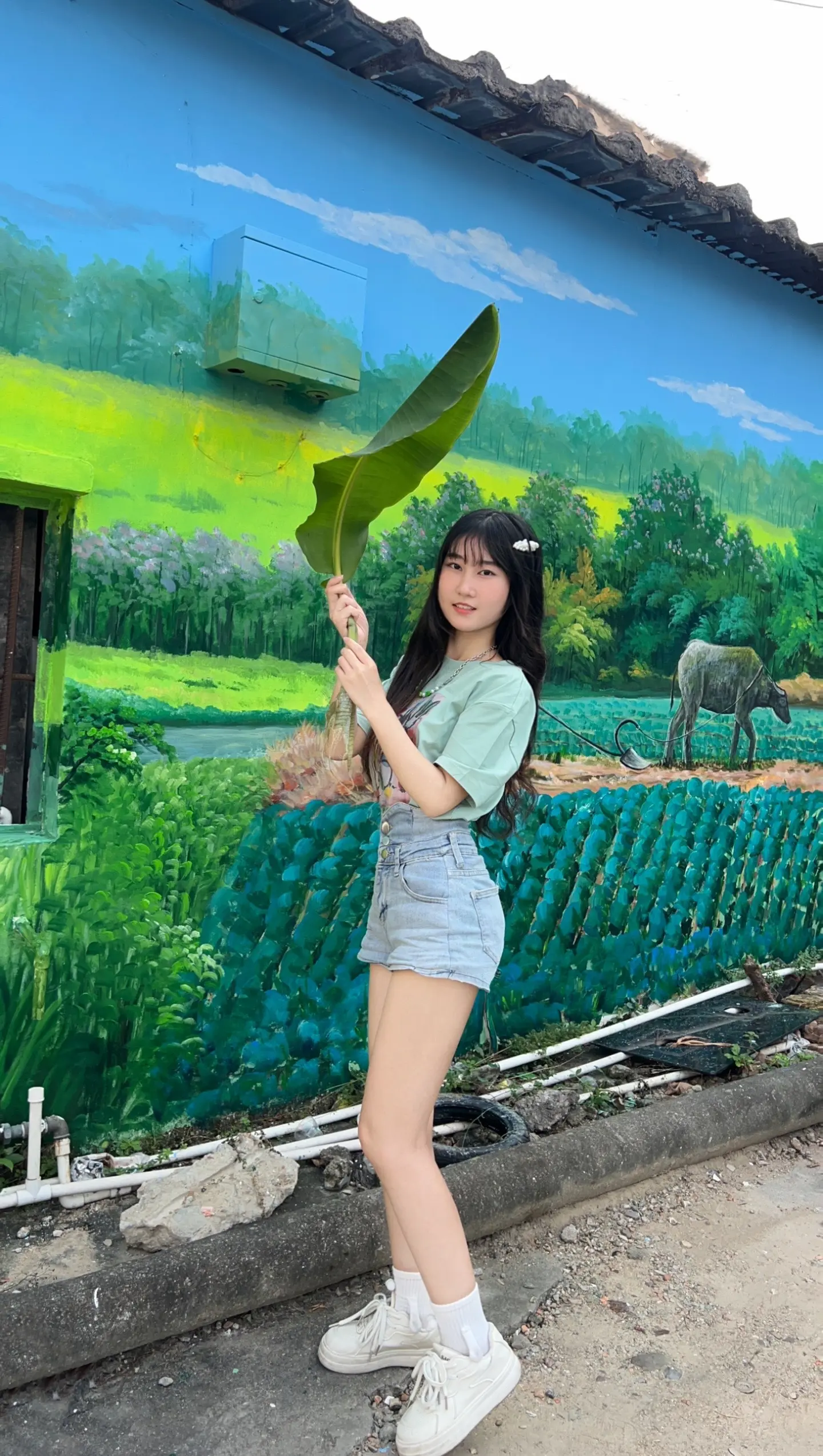 带你走进大自然🎨