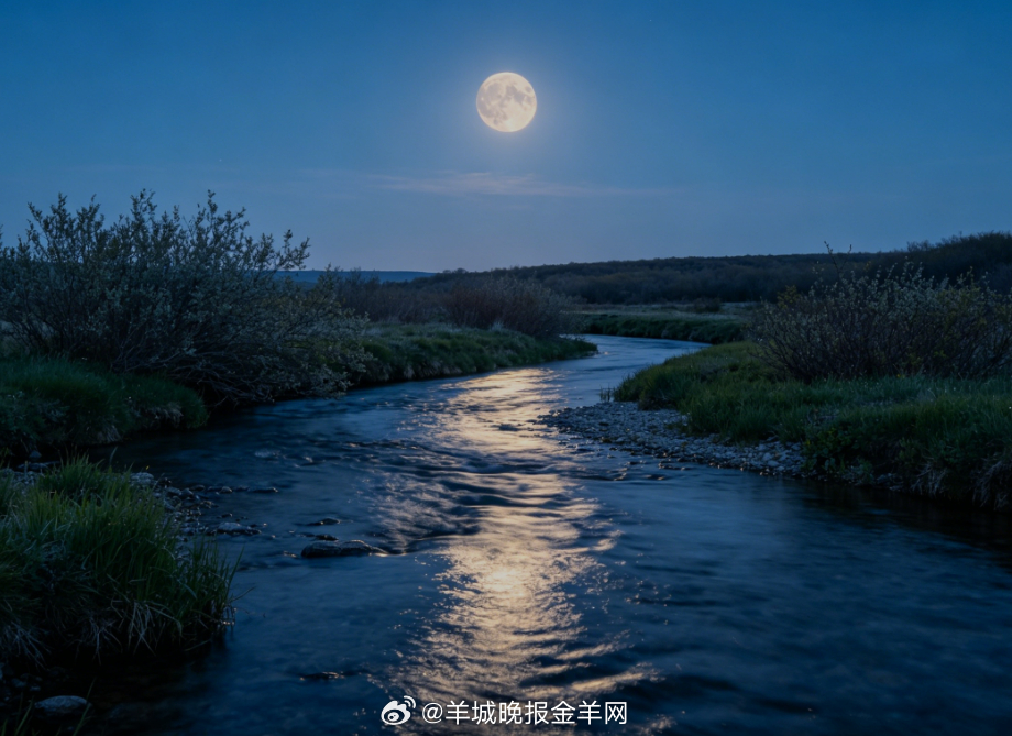 #晚安# 月色温柔笼住溪岸，溪水叮咚流淌，晚风轻拂耳畔。静立溪边，一身轻松惬意，