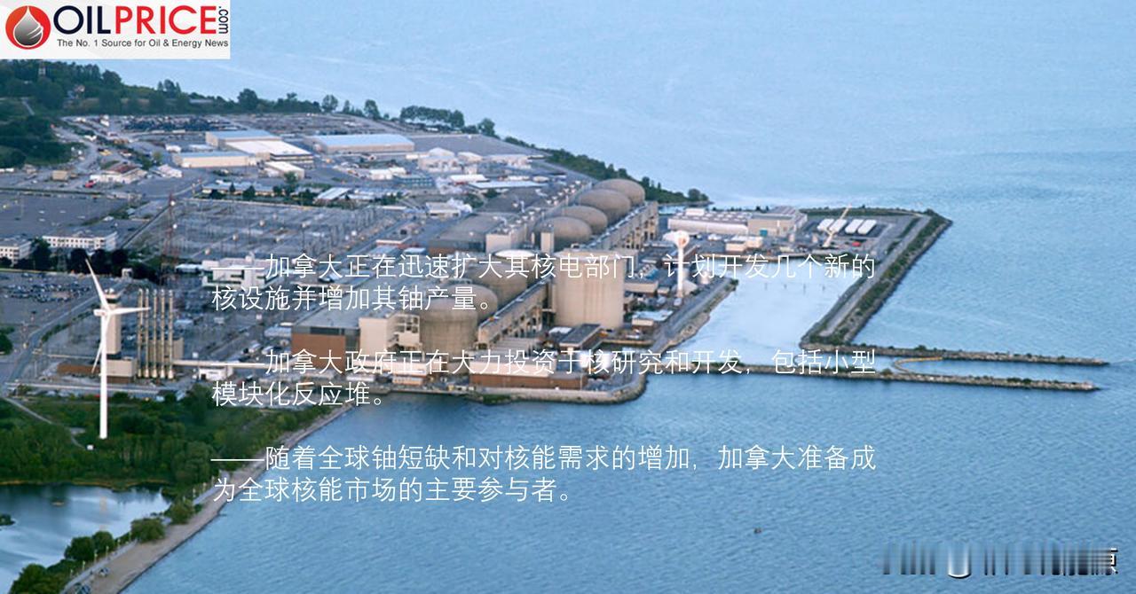 加拿大对核能的大胆押注，目前正在见证核能的复苏

与其他几个世界主要大国一起开发