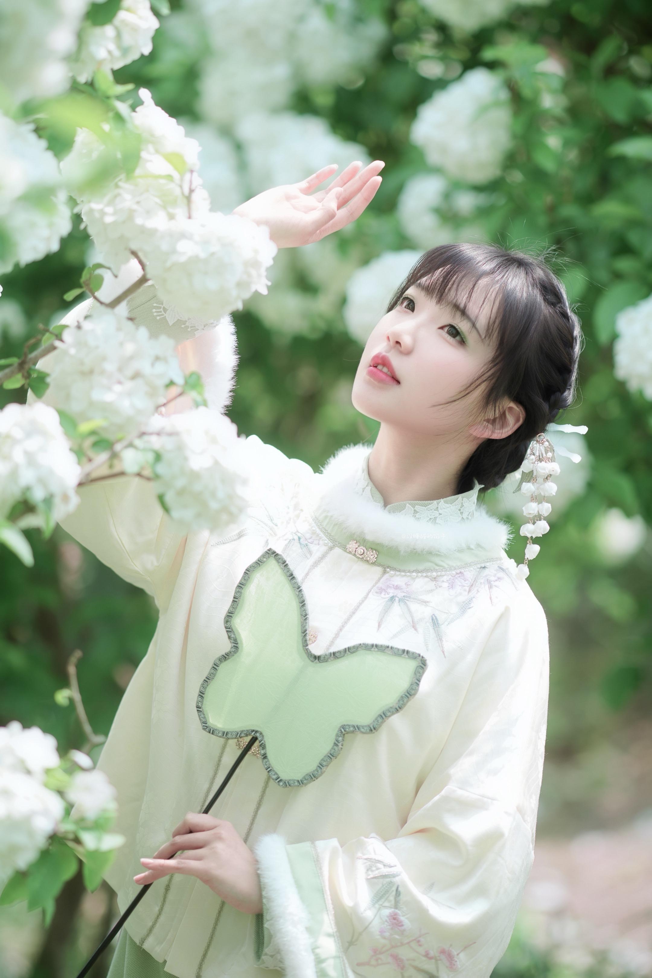 而今尘尽光生，照破青山万朵。谷雨 木绣球