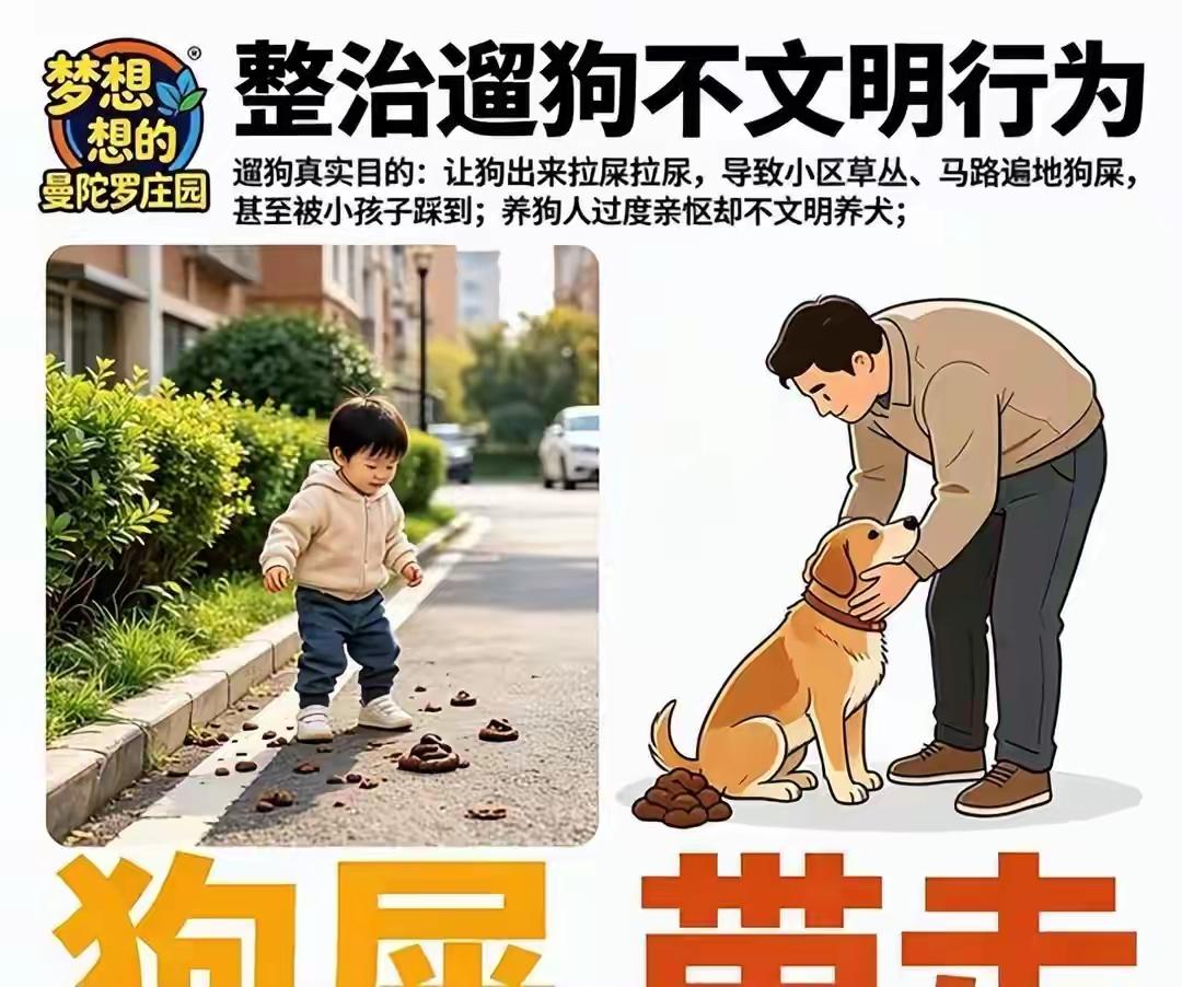 再过一个多小时，又到了晨练的时候。原本好好的心情，却被路边遛狗的人，弄成了一个纠