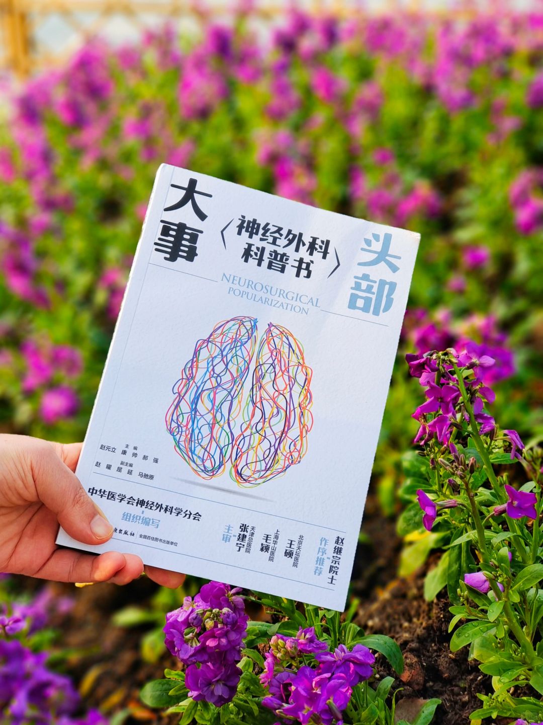 这些头脑知识又增长了