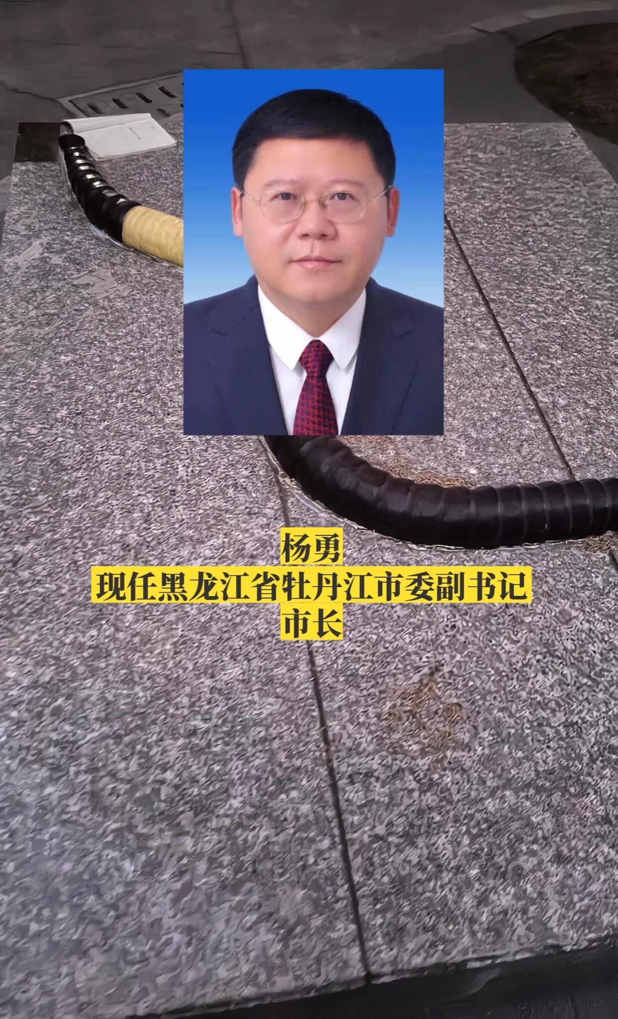 黑龙江牡丹江市政府领导。