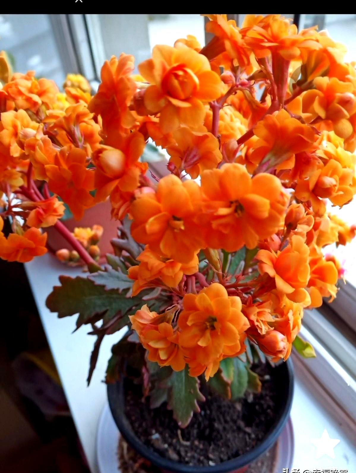 给少了怕丢面，给多了又心疼，这人情债到底咋算？
我家小姑子真是没得说，当初我家俩