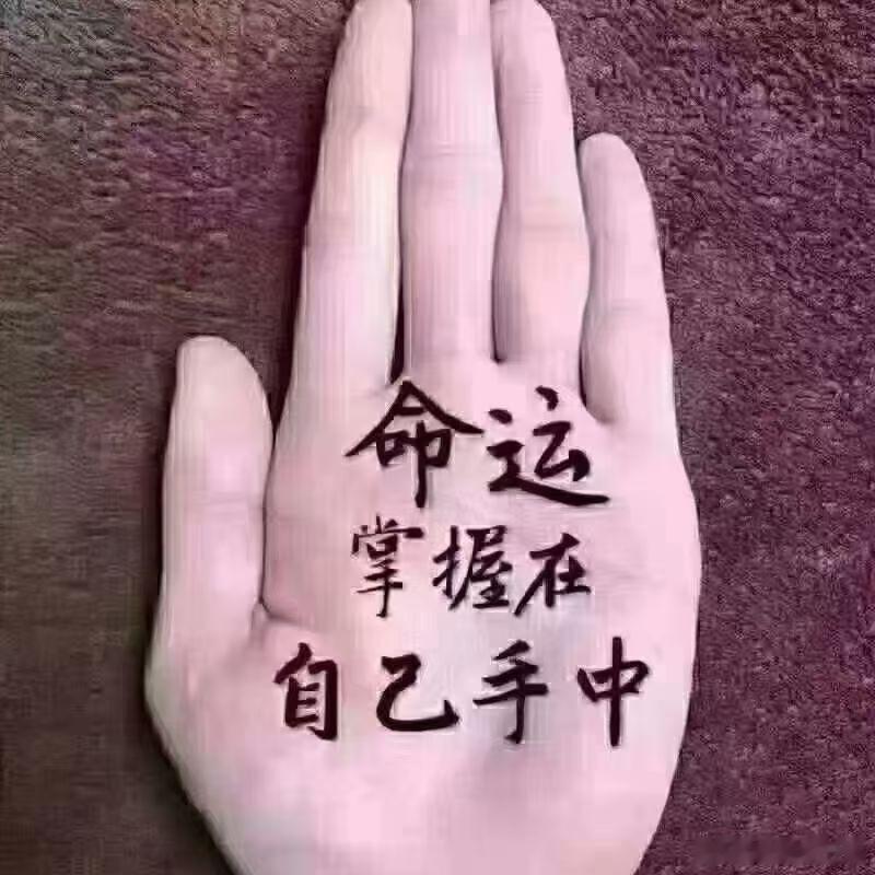 现在准备拉电力了 电力又开始补涨了 