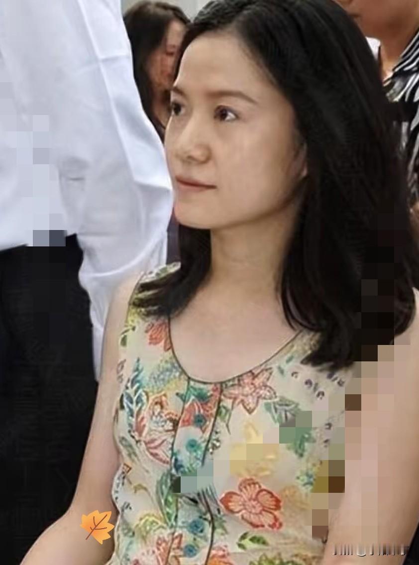 2025年11月，剑桥大学丘吉尔学院向翁帆发出访问学者邀请，期限为两年，并提供全