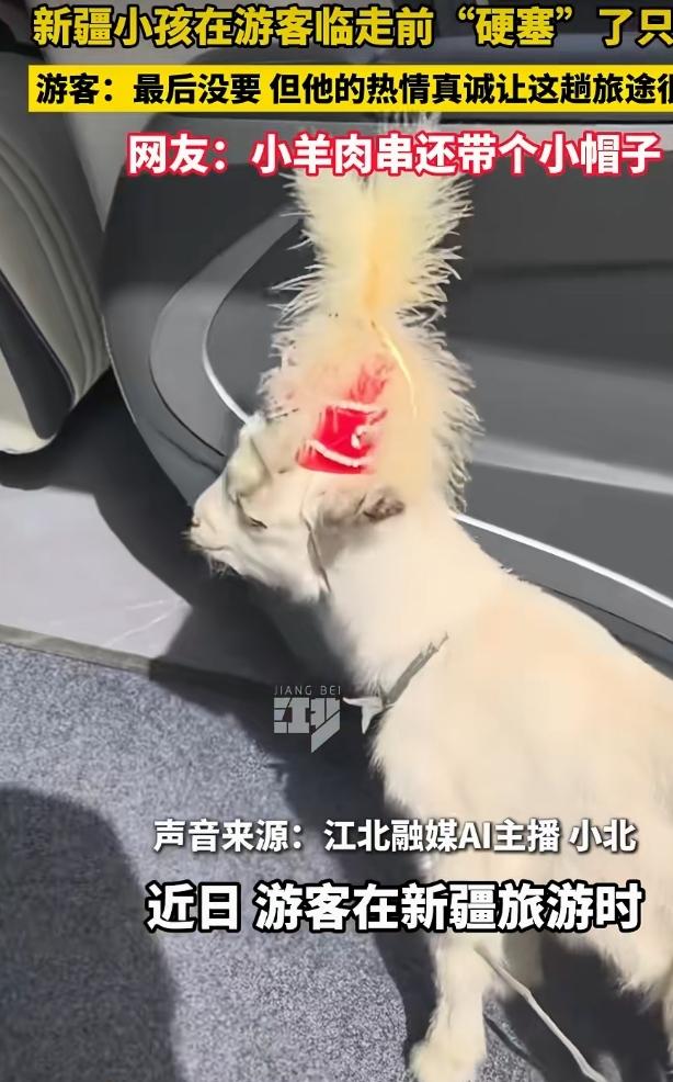 刚刷到新疆小孩在游客临走前“硬塞”小羊的视频，瞬间被暖到。视频里，小孩抱着雪白的