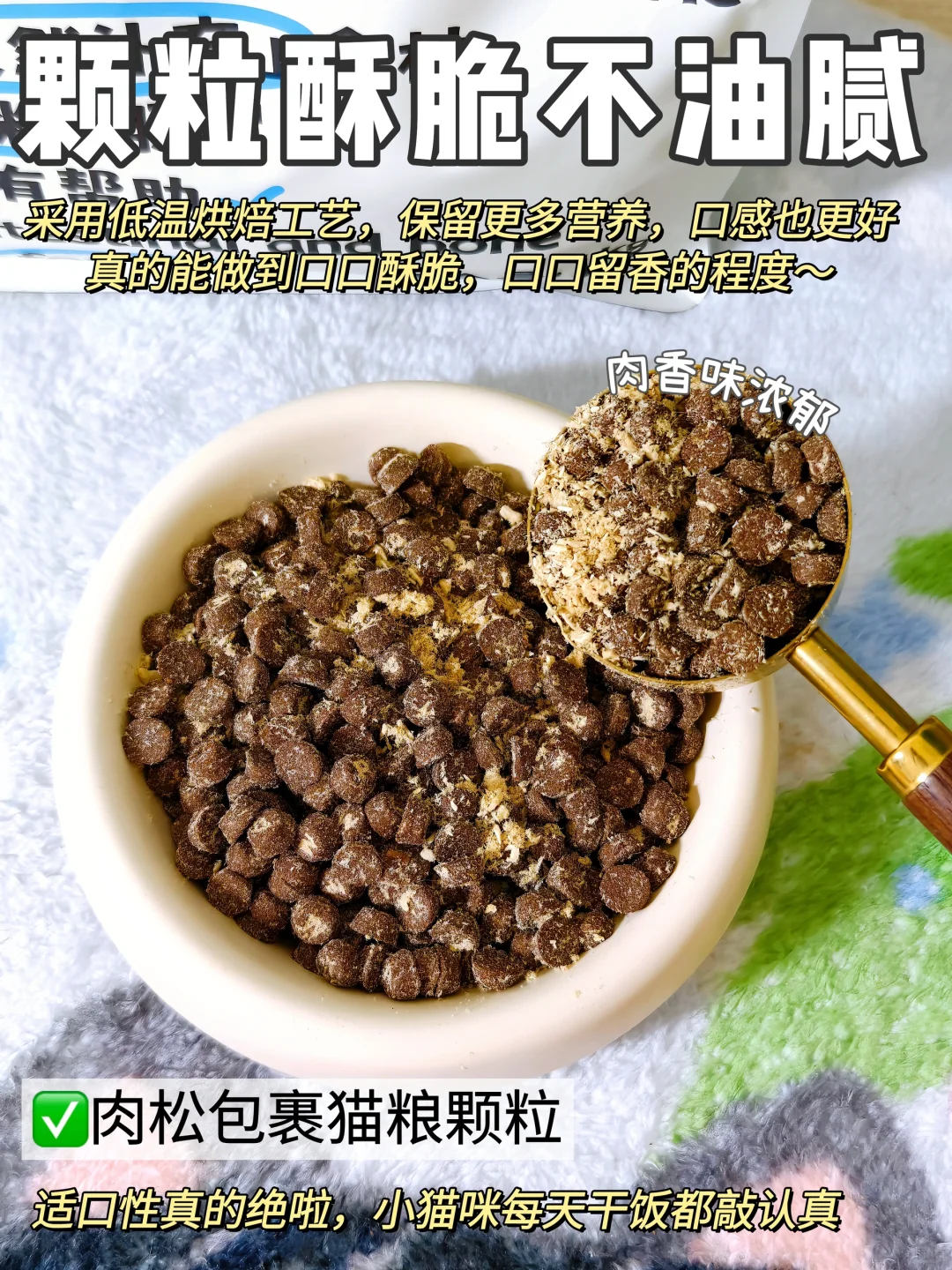 猫粮千千万‼️这个扛把子真让我找到了