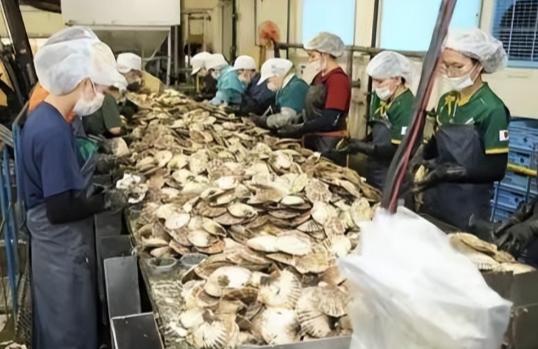 日本排放核水后，奇怪的事发生了：刚开始各国对海鲜避之不及，如今3年过去，核水已污