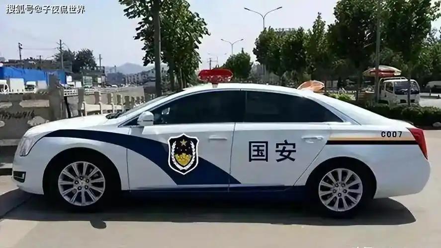 公开信息显示，国安系统至目前为止还没有辅警。

国家安全系统的警察属于独立执法体