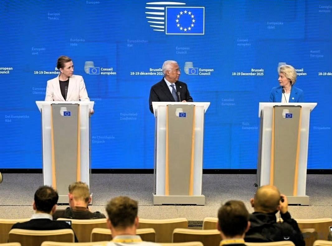 欧盟委员会高级官员指出，按照通过增加共同债务以资助乌克兰防务的计划，欧盟纳税人将