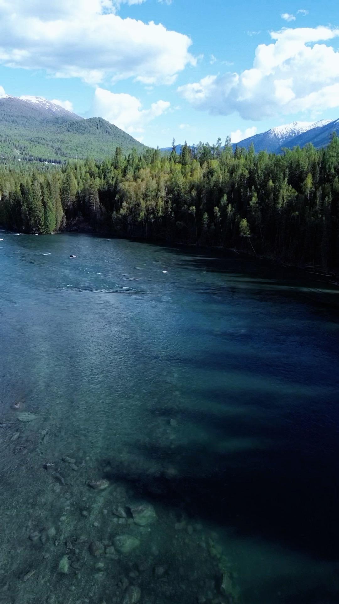 许多平民阶层的父母 帮倒忙的本事真的是一流的 纯纯属于各种瞎指挥  很...