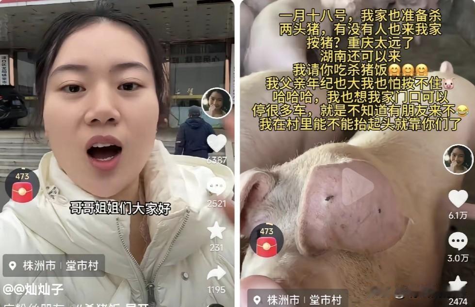 友情提示各位有抖音账号且家里养猪的美女，继重庆合川呆呆“杀年猪”爆火之后，这位湖