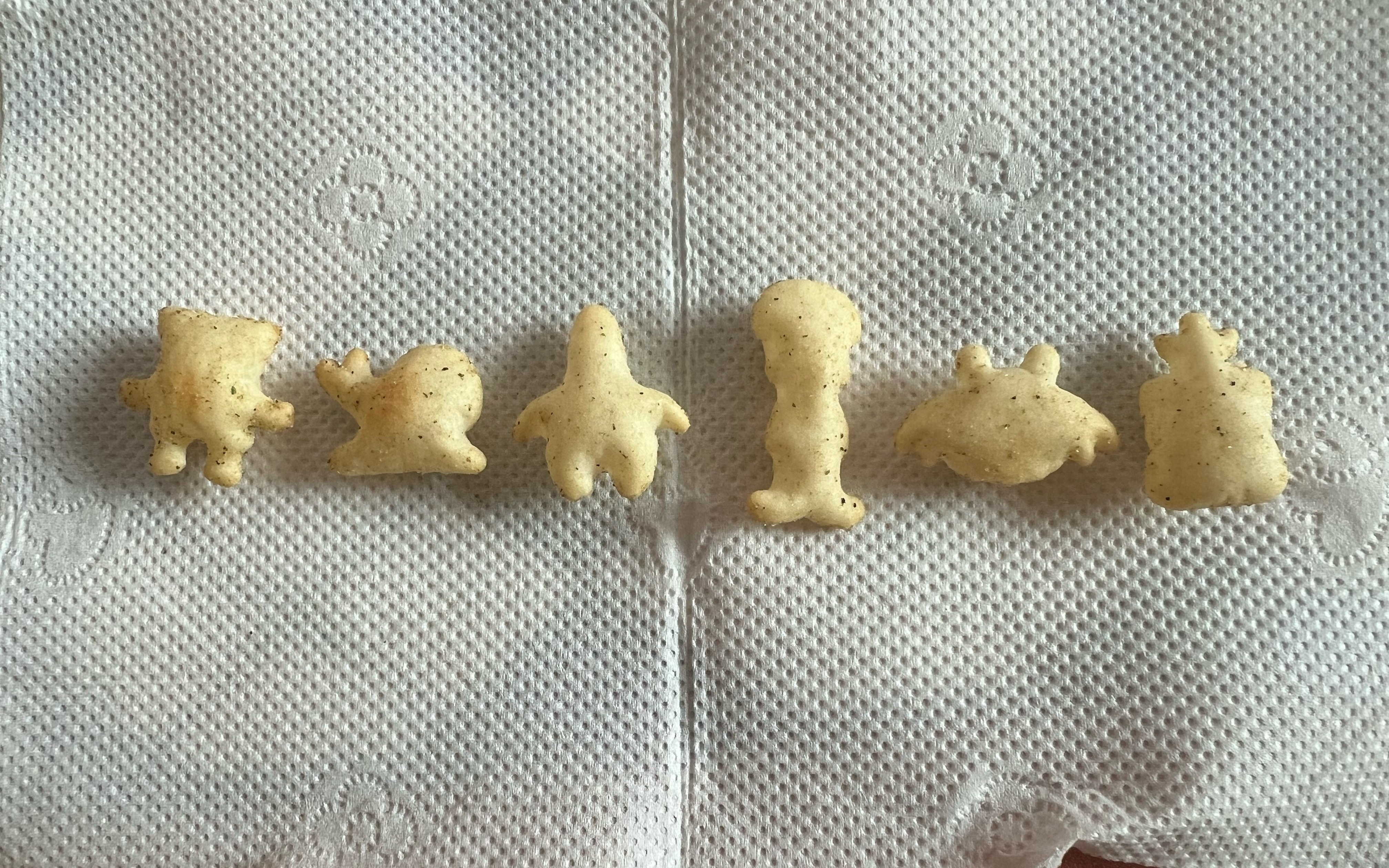 好多鱼里头居然真的有海绵宝宝我不行了 