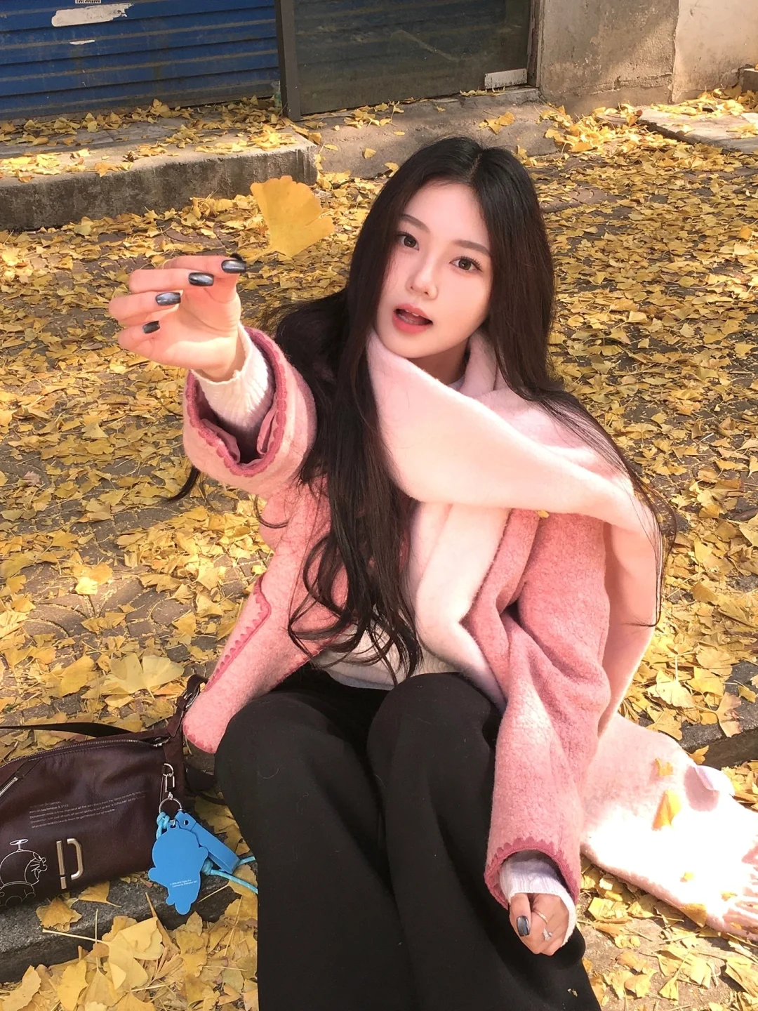 银杏叶铺满的十二月