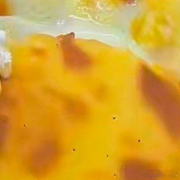哦莫OMG[鄙视][鄙视][鄙视]榴莲千层我稍微给加热了一下就变这样了，不过还是