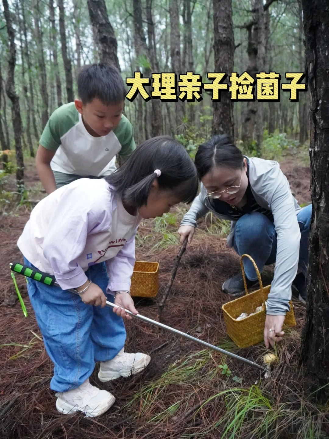 大理亲子捡菌子——一起去山上寻宝吧！