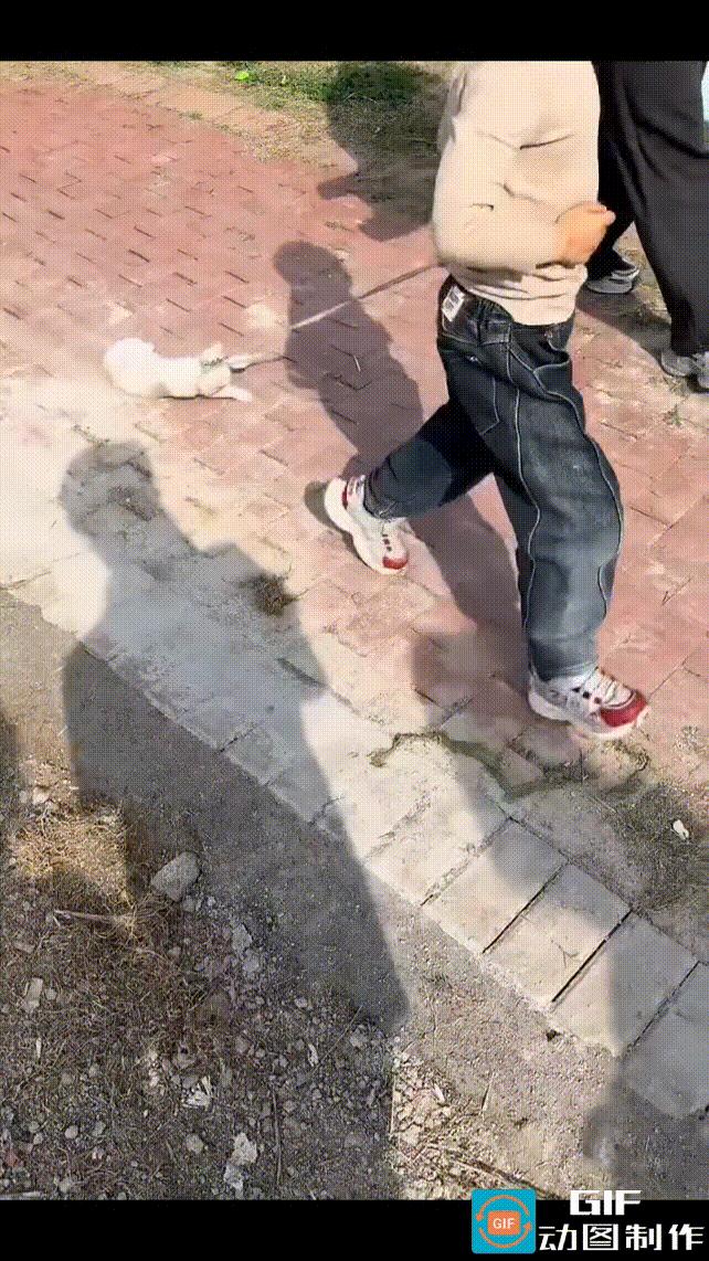 男孩用绳子拴着小猫拖在地上跑，男孩跑得很快，小猫是只刚出生不久的小奶猫，跟不上他