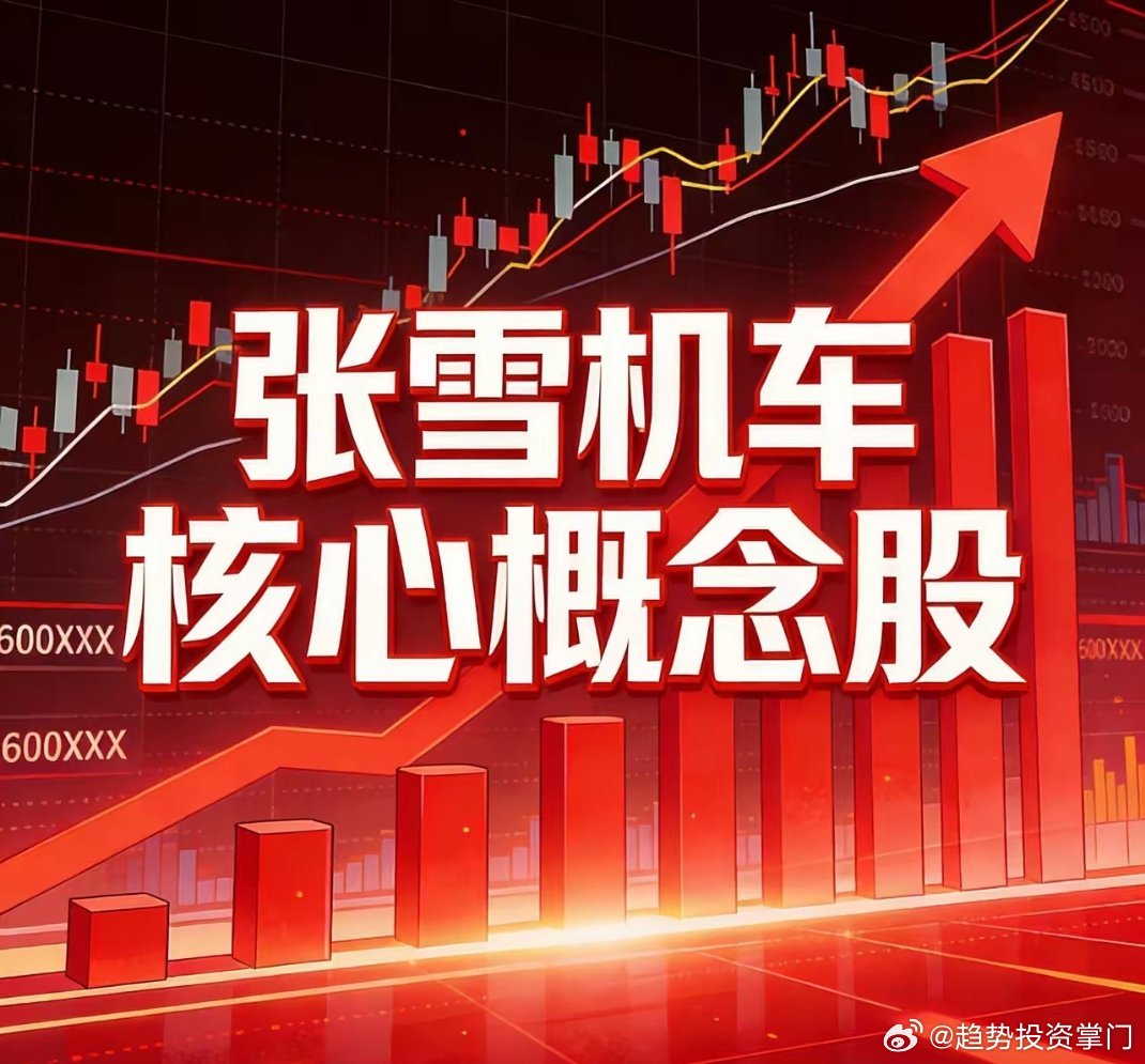 张雪机车核心6股1. 宏昌科技(301008)：A股唯一参股，精密制造协同，直接