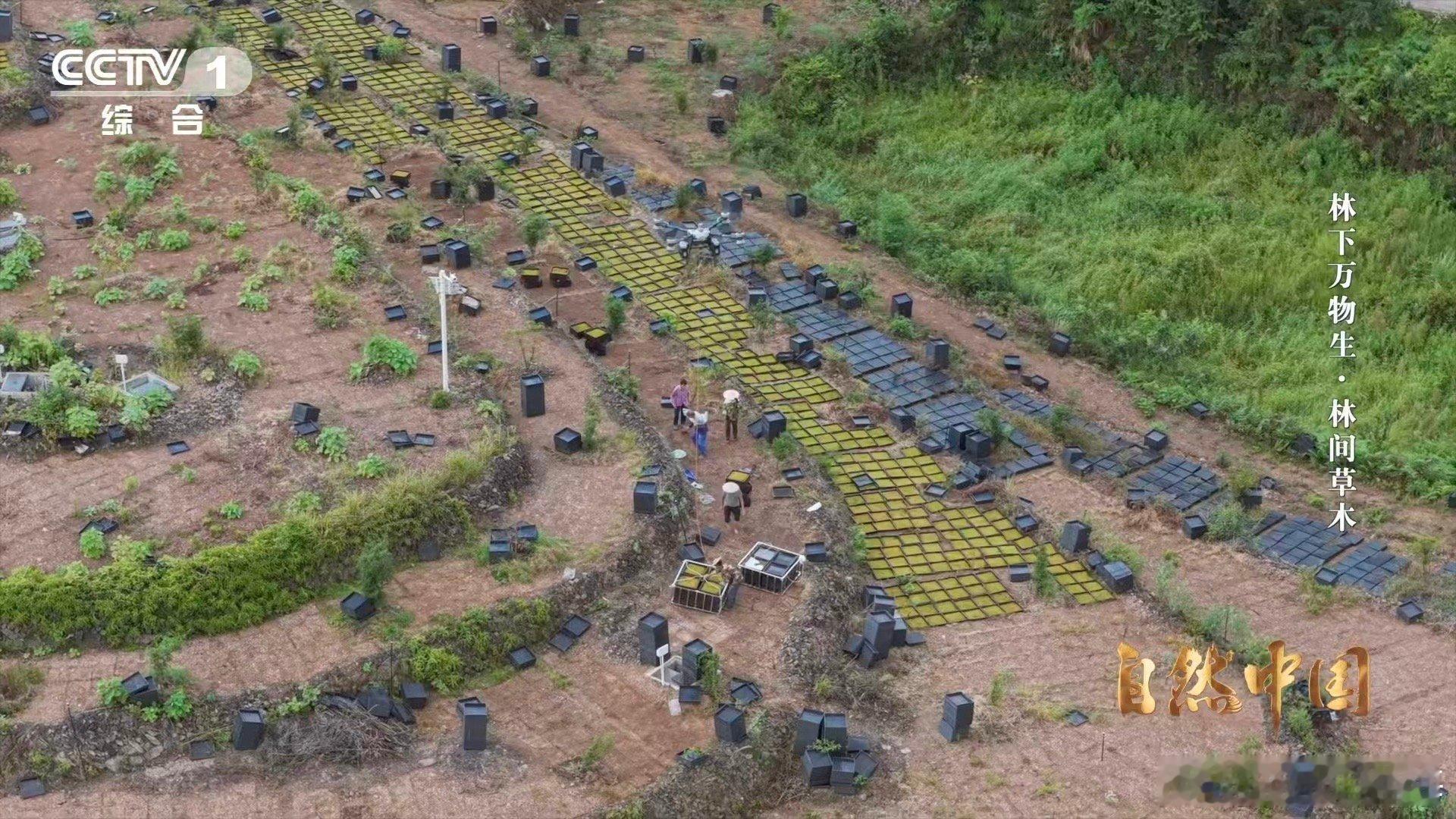 中国农村的科技含量越来越高一架架无人机在中国农村运货 科技进村，未来已来。在浙江