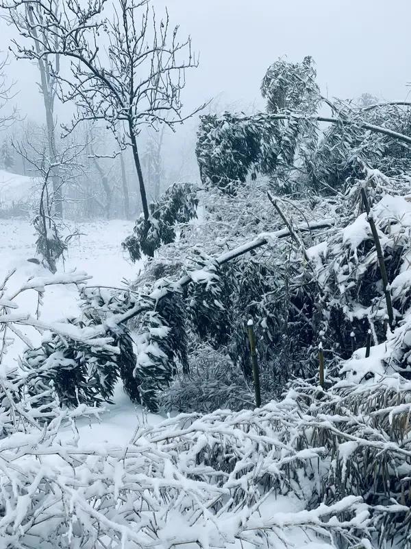 上：云浮北海疑天水，
下：雪裹南山是地棉。
