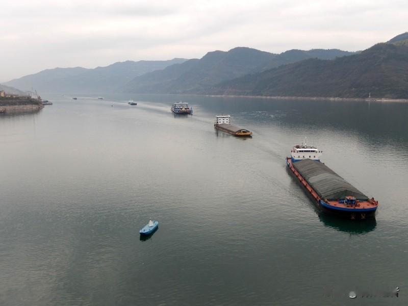 十年蝶变，长江流域上演着从生态顽疾到碧水欢歌的华丽转身。这条母亲河见证了发展理念