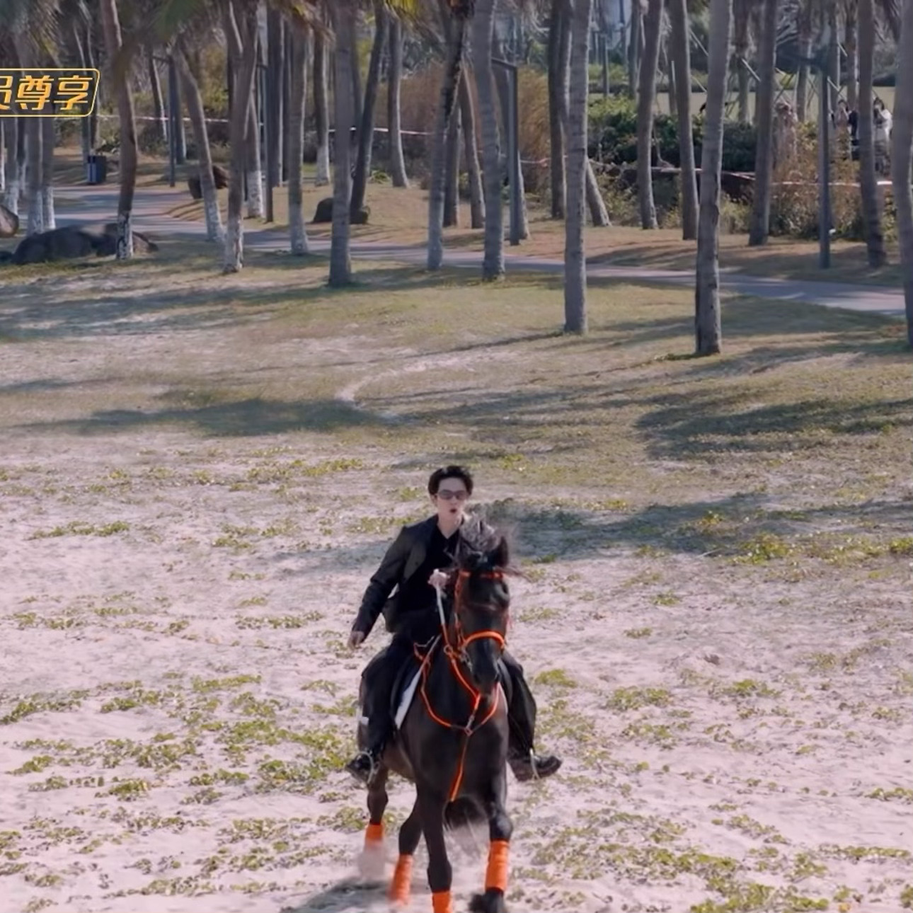 咋能这么帅呢你说，我从来没见过骑马能骑这么帅的人，他是第一个