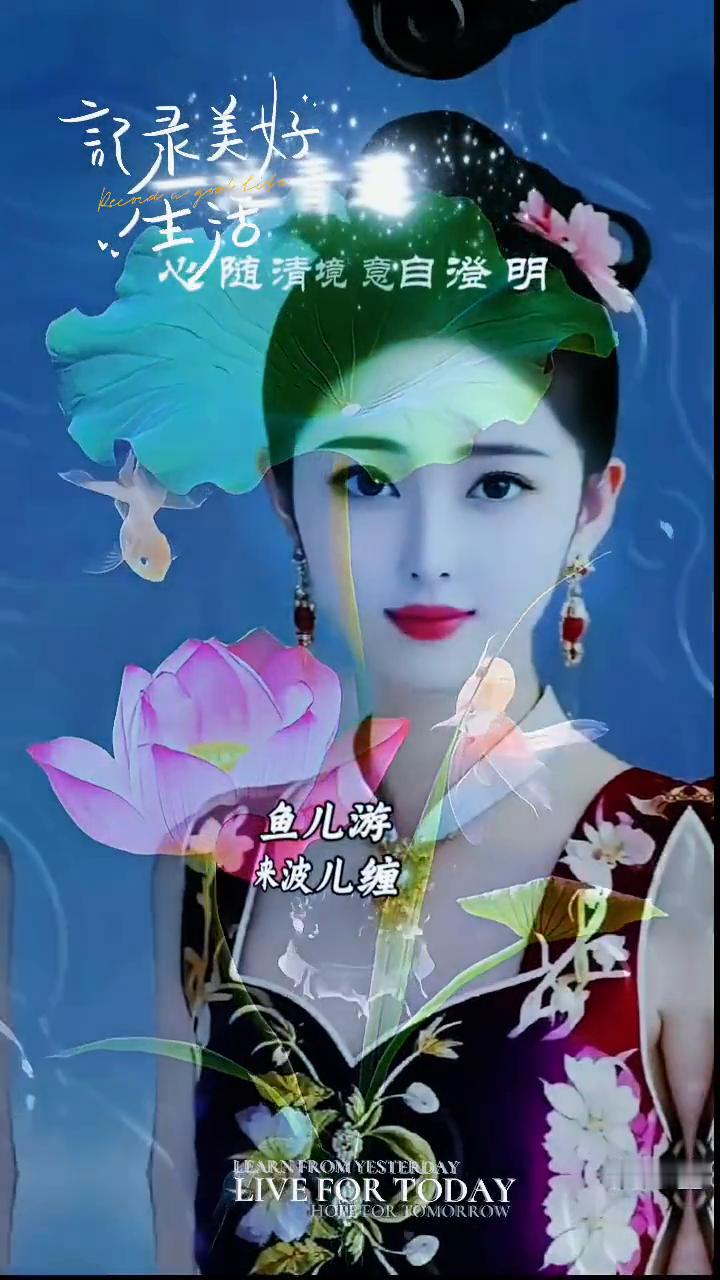 就录美好生活。
心随清境，意自澄明。鱼儿游来波儿缠，一池青莲云水间。风雨中两相守