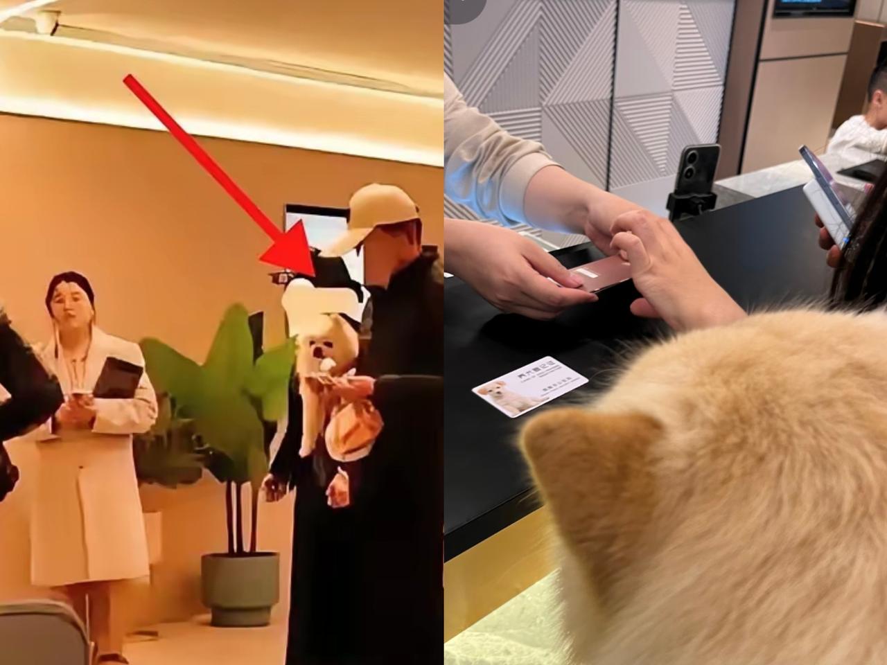 这事儿看得人太解气了！郑州这家汉庭，真是把“守规矩”三个字焊在了脑门上！
​郑州