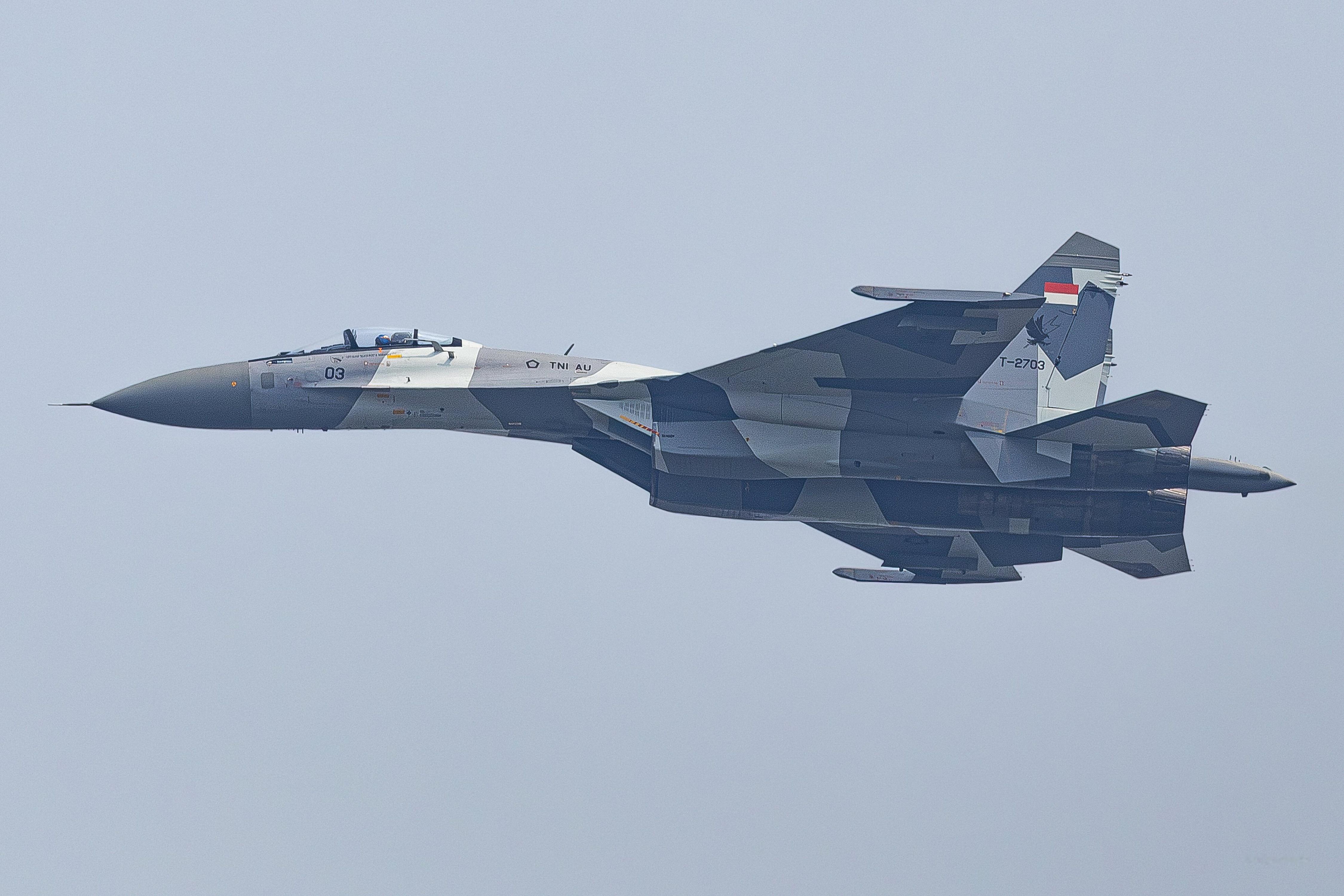 高分辨率图像 印度尼西亚的各种战机：SU27、30，阵风，F16，T50，来自X