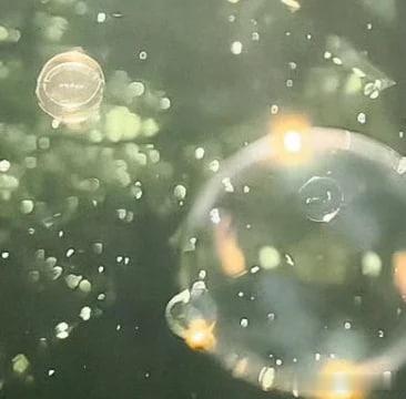 最好的生活状态，并不是每时每刻都要轰轰烈烈，而是在追求热烈的同时也能珍惜平淡日子