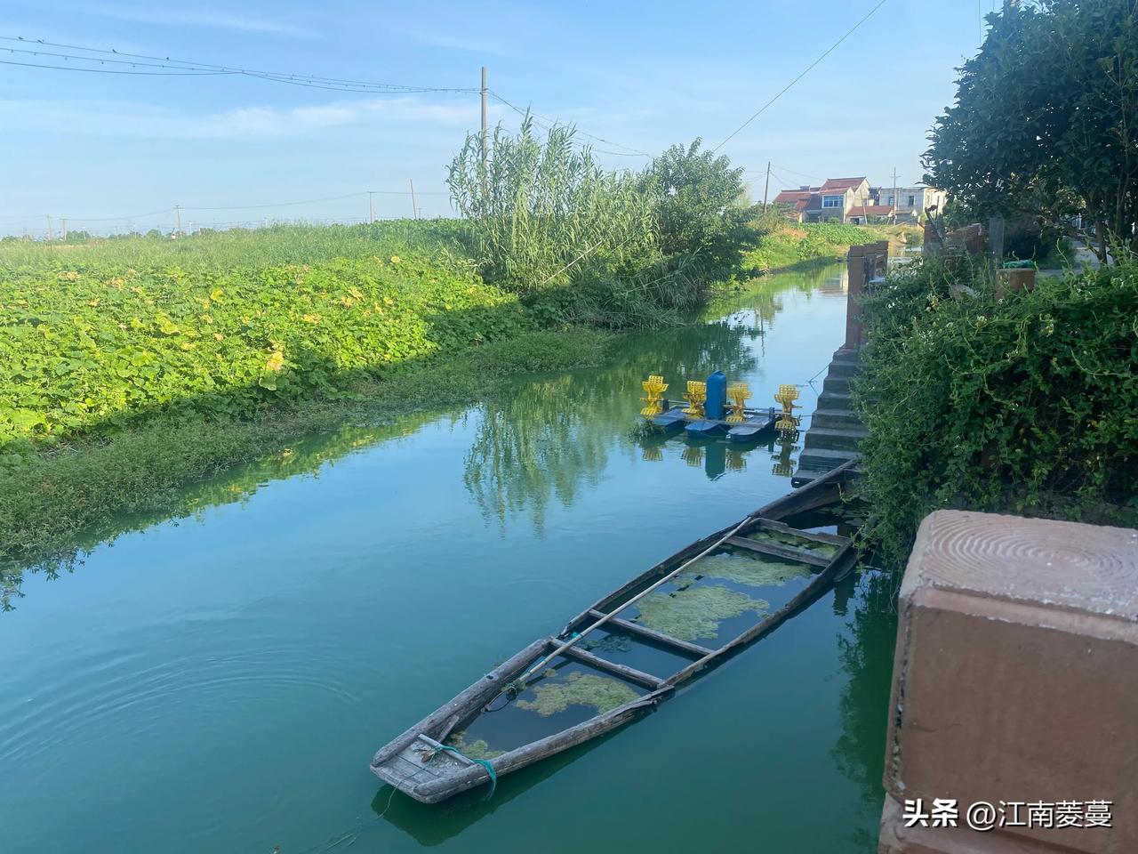 #夏日生活打卡季#炎炎夏日，热辣滚烫。

记忆中的老家，到了夏天，我最喜欢的就是