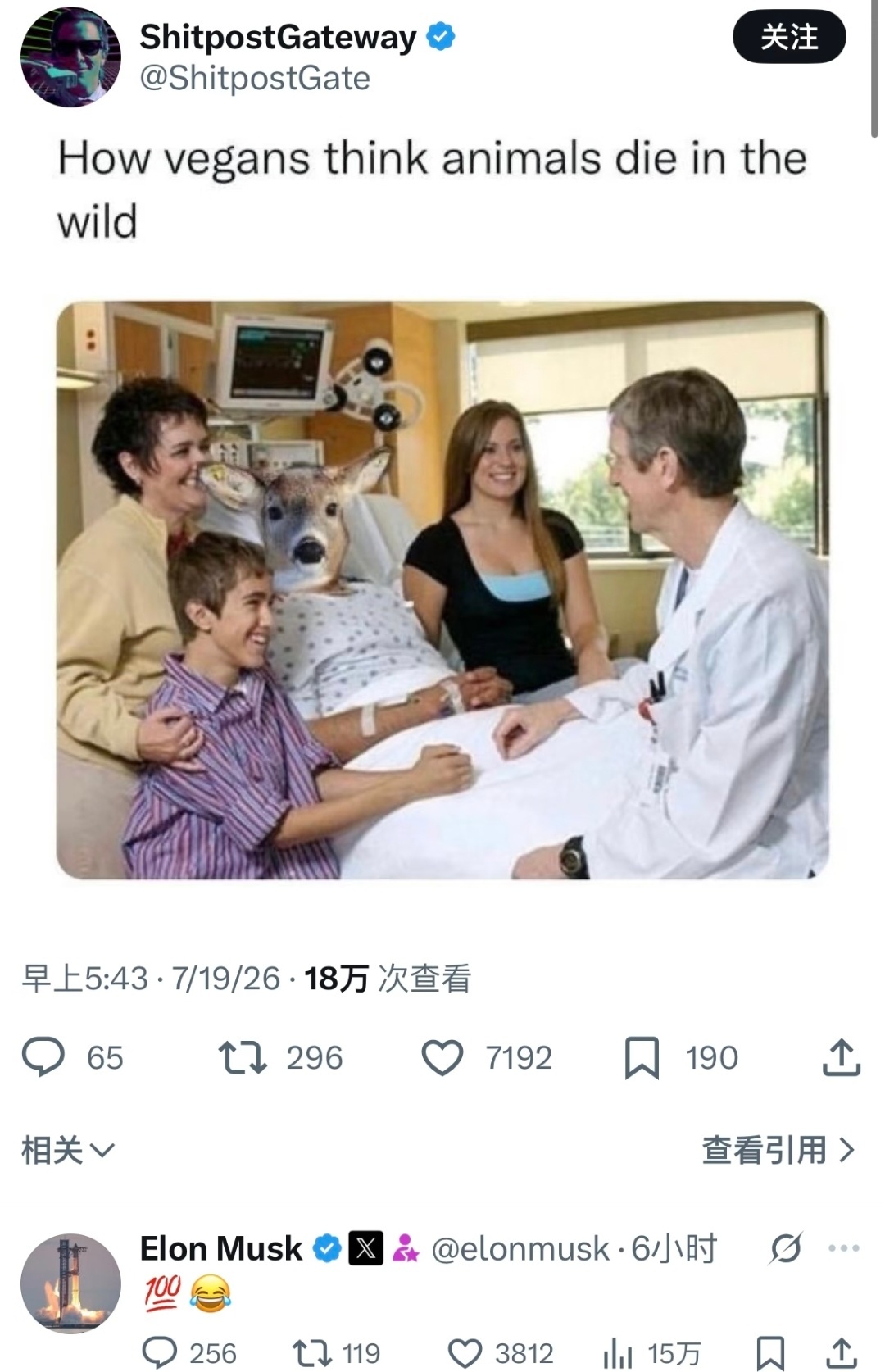 素食主义者的大脑 