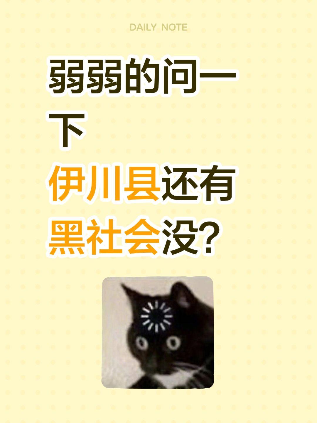 弱弱的问一下 伊川县还有黑社会没？
