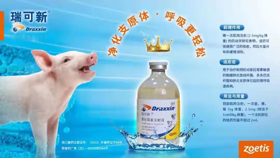 猪价未稳，灾疫先至！农业农村部紧急视频会，释放了哪些保命信号？来源：市场资讯（来