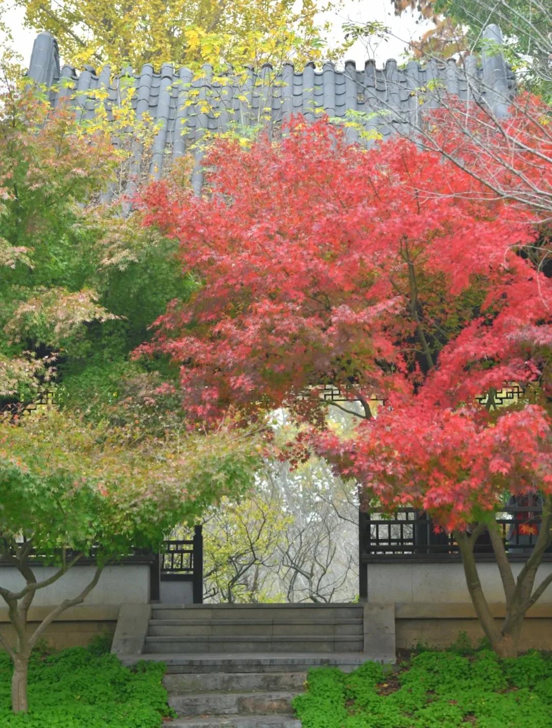 简单的圈子，规律生活，
立一个目标，守一份初心，
一起元气满满度过每一天🌞☕️