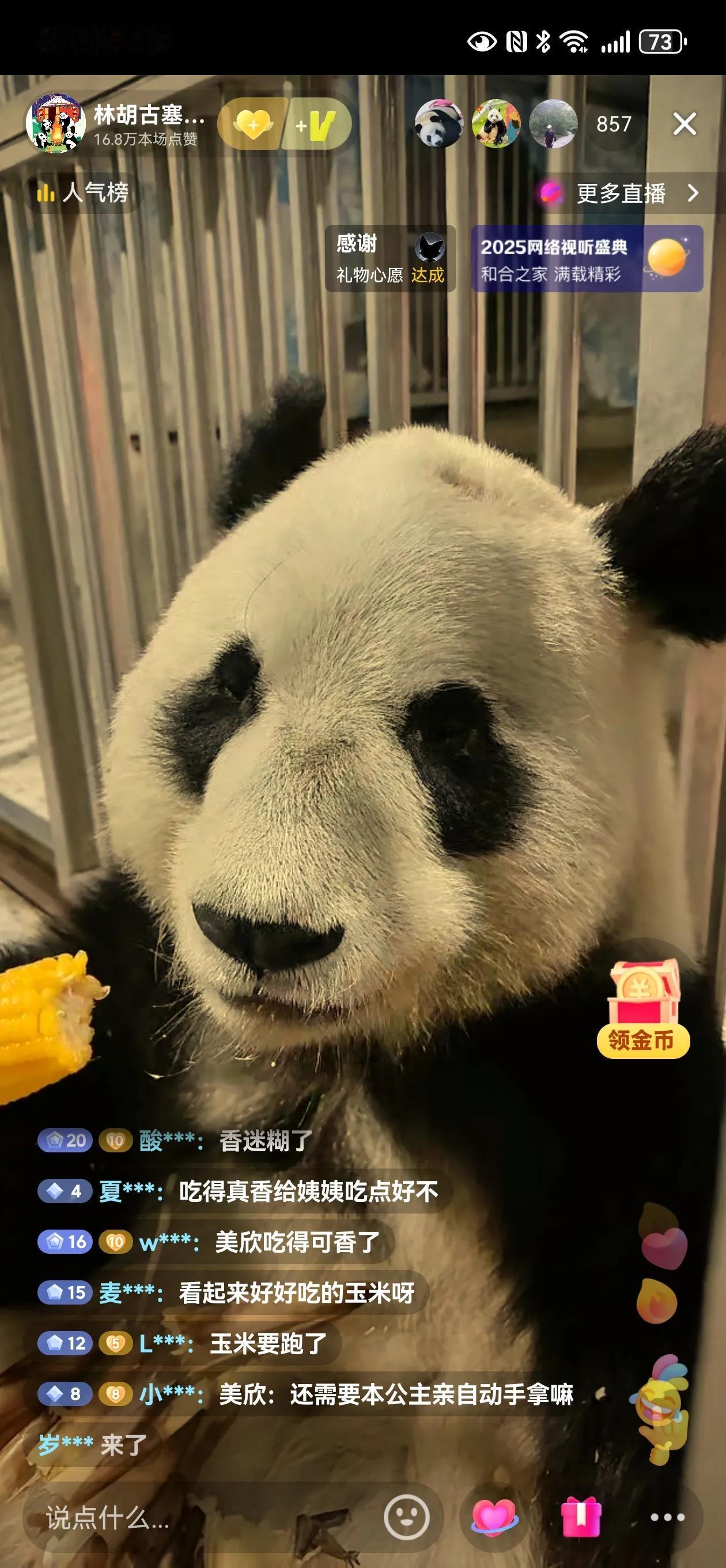 林胡古塞的美欣大美熊🐼
玉米公主🌽🌽🌽🌽🌽🌽
奶爸的小嘴叨叨叨个不