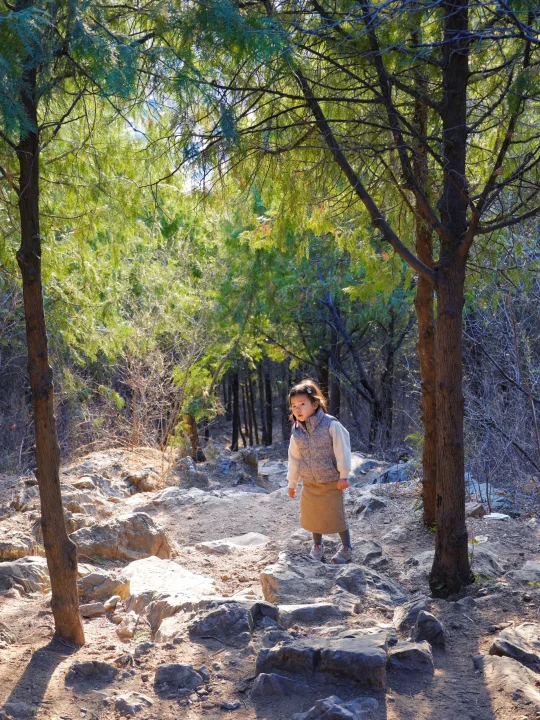 顺义不宣传这真糊涂啊❗️登山观湖免费遛娃❗️