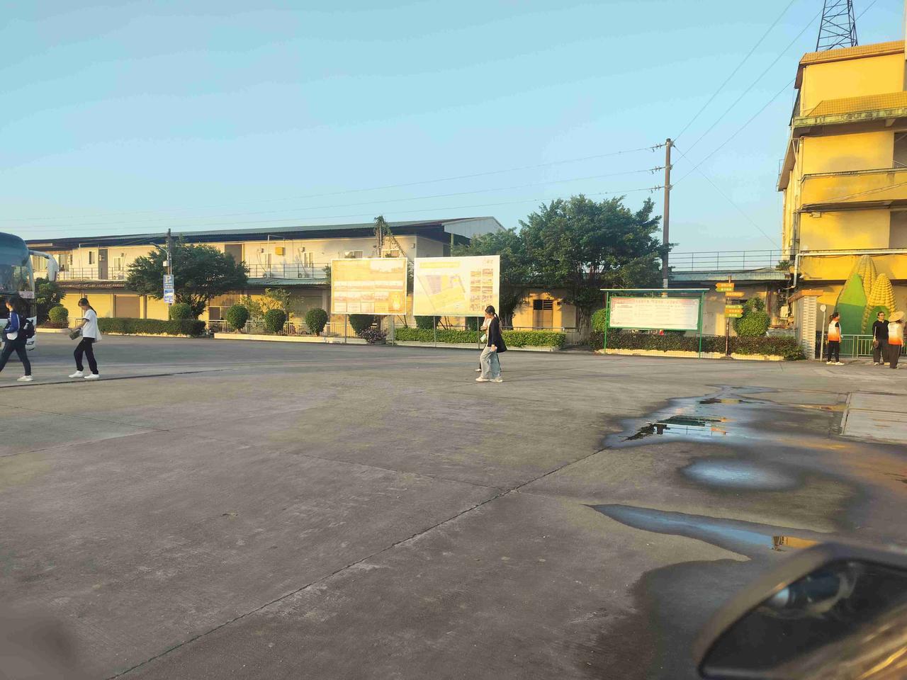 带定位晒今日生活 今天海南这大晴天，简直不要太舒服！我整个人状态轻松愉快，仿佛所