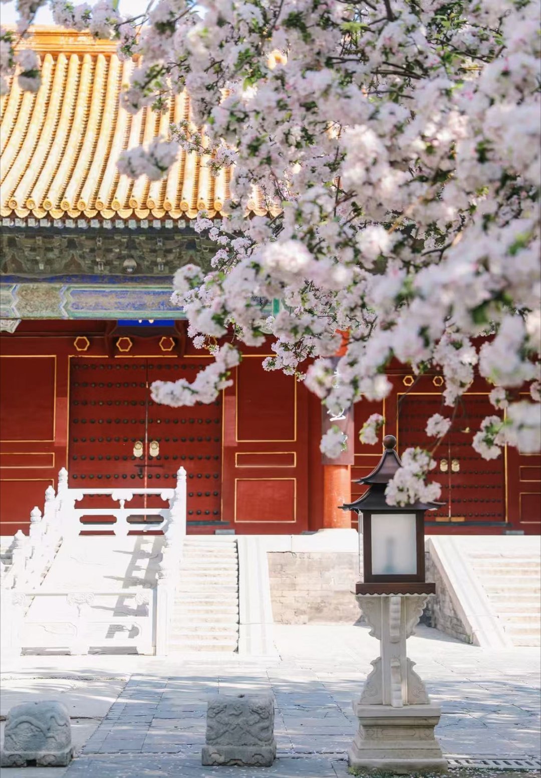 通州近百位摄影师365天拍北京 每个季节都很好看的北京，其实也挺感慨的这些摄影师