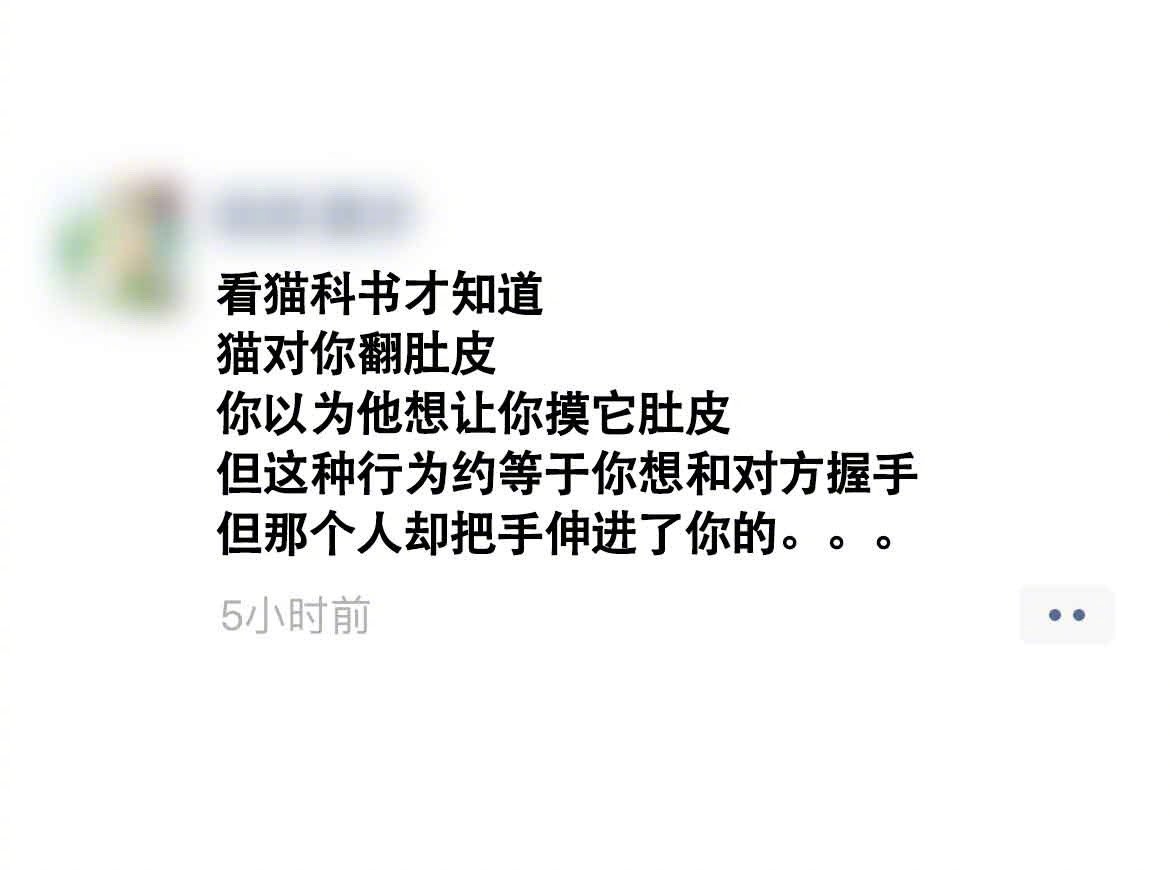猫只是想表示友好，有的人却趁机耍流氓 ​​​