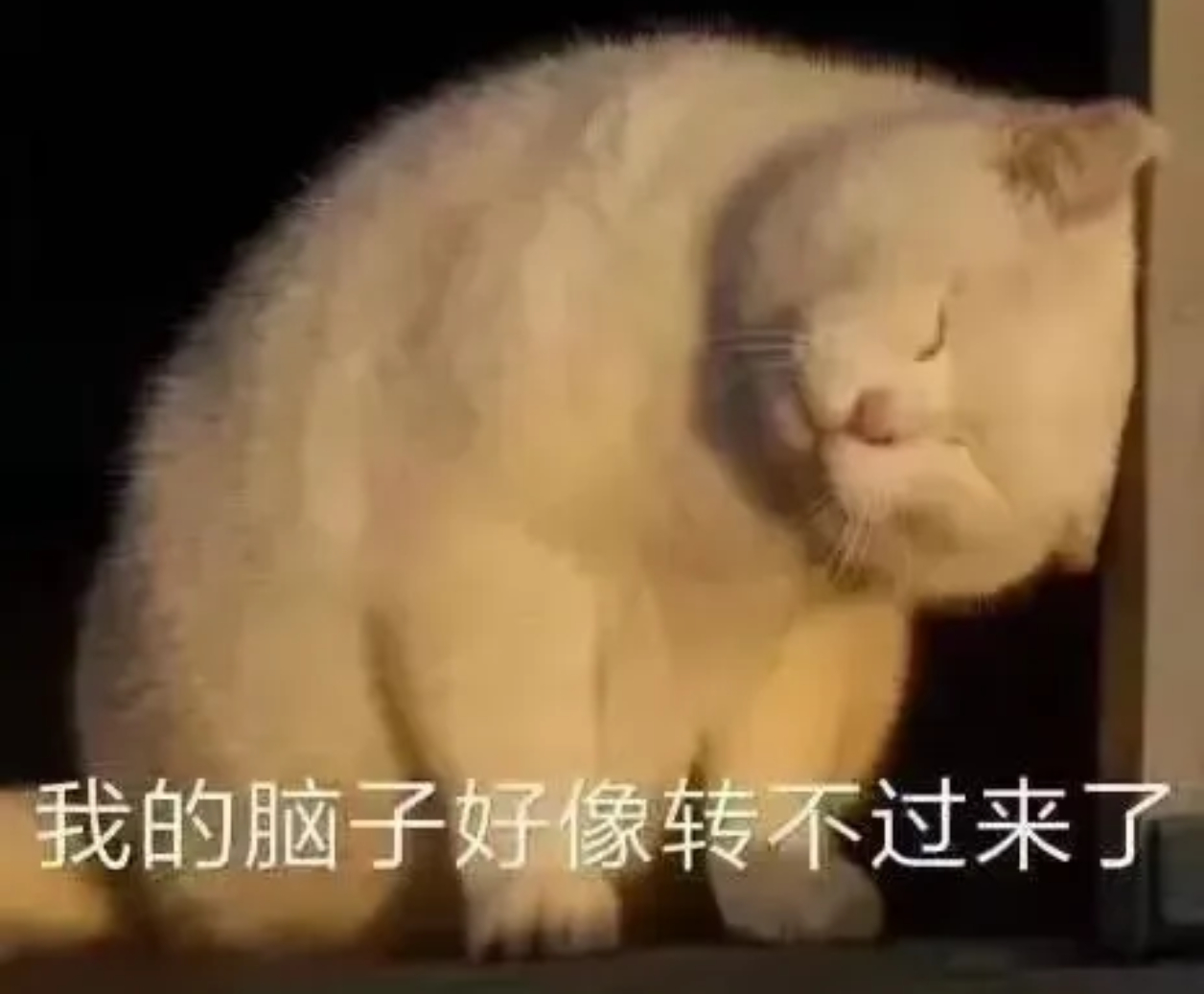 深渊无间二刷完后，我be like 👇……[晕][晕][晕] ​​​