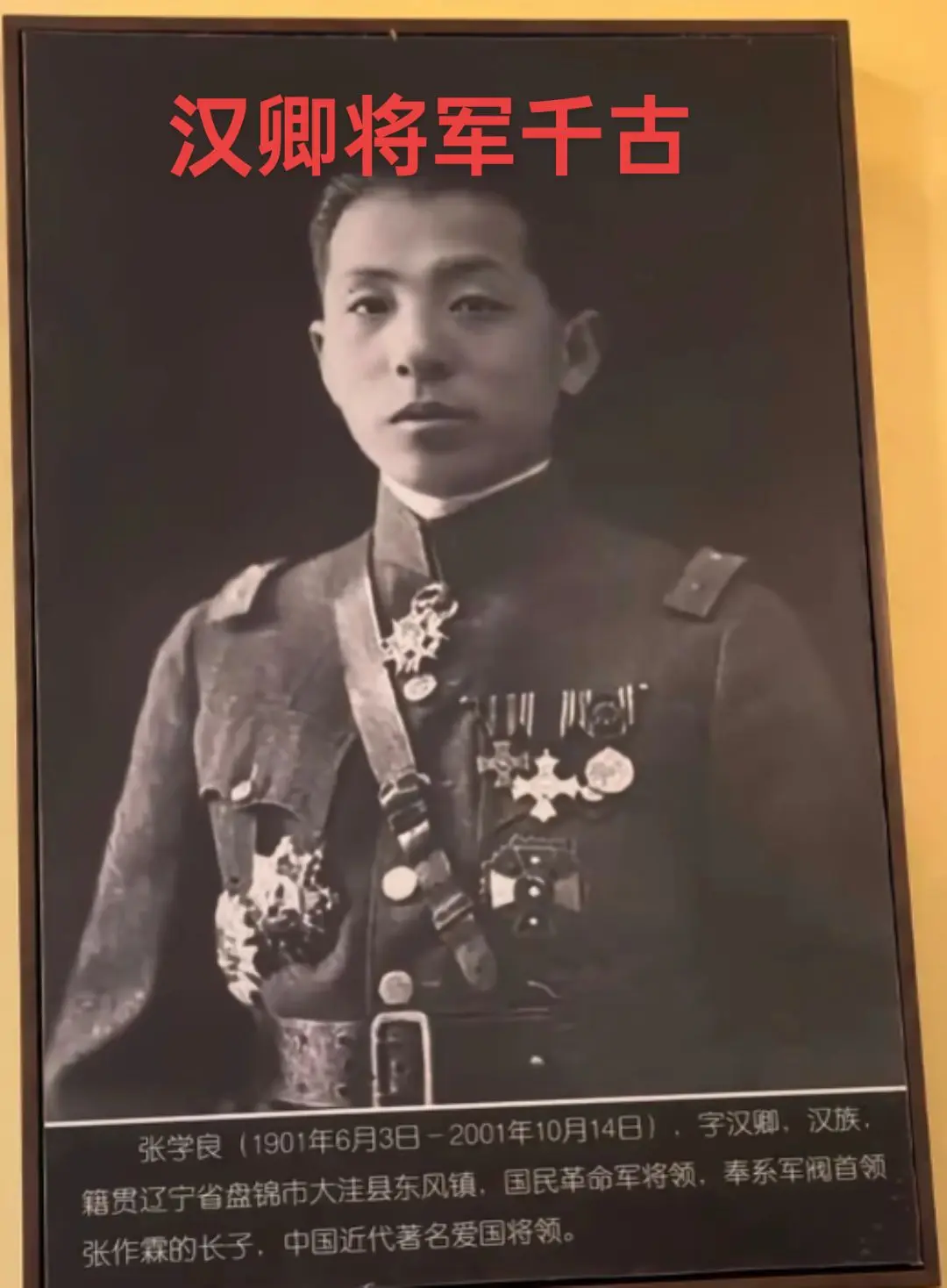 历史照片  到底是什么原因让你们对少帅喷了一遍又一遍！