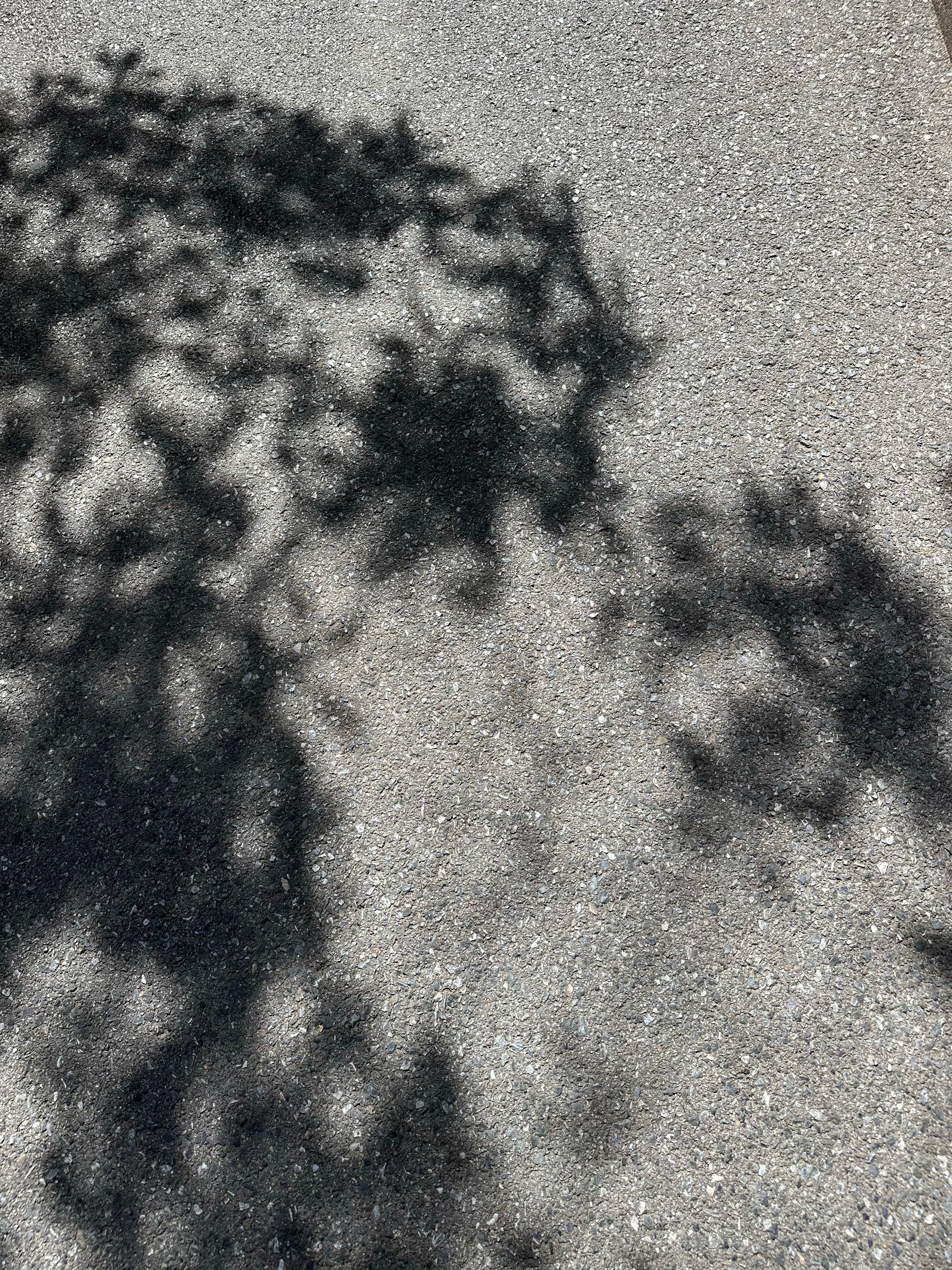 IN🌦️